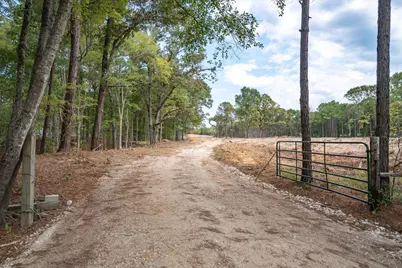 Tract 1 - Tbd County Road 4307 Road, LaRue, TX 75770 - Photo 4