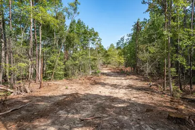 Tract 1 - Tbd County Road 4307 Road, LaRue, TX 75770 - Photo 8