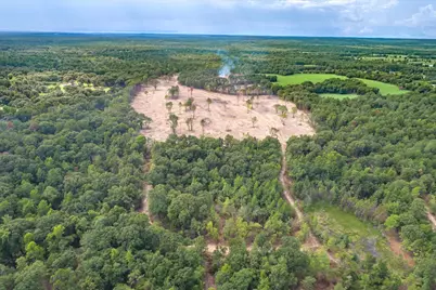 Tract 1 - Tbd County Road 4307 Road, LaRue, TX 75770 - Photo 14
