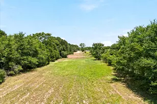 13345 FM 1391, Kemp, TX 75143 - Photo 12