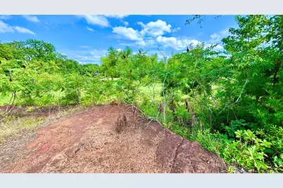 1007 County Road 1226, Quitman, TX 75783 - Photo 16