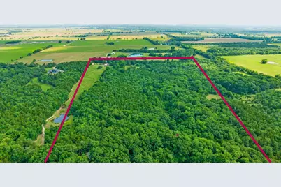 1101 County Road 2810, Honey Grove, TX 75446 - Photo 12