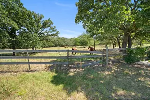 14643 Co Rd 4060, Scurry, TX 75158 - Photo 30