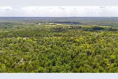Tbd Fm 489 E, Fairfield, TX 75840 - Photo 14