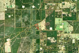 1615 Waskom-Elysian Fields Rd, Waskom, TX 75692 - Photo 14