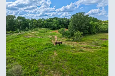 Tbd Lcr 238 Acres 17.8, Mexia, TX 76667 - Photo 12