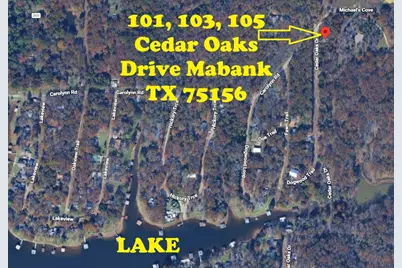 103 Cedar Oaks Drive, Mabank, TX 75156 - Photo 2
