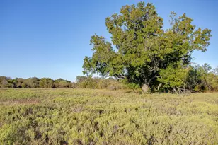 51 Cattle Trail Trail, Palo Pinto, TX 76484 - Photo 18