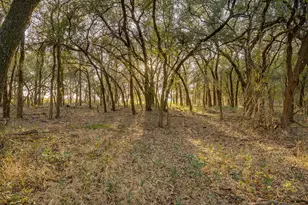 51 Cattle Trail Trail, Palo Pinto, TX 76484 - Photo 14