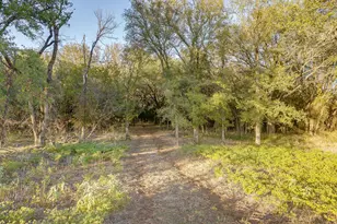 51 Cattle Trail Trail, Palo Pinto, TX 76484 - Photo 8