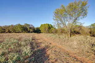 51 Cattle Trail Trail, Palo Pinto, TX 76484 - Photo 22
