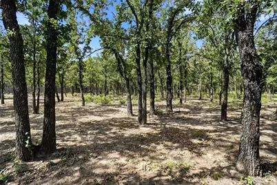 211 Spring Valley Road, Paradise, TX 76073 - Photo 14