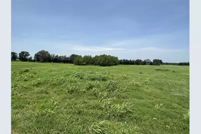 Tract A County Road 3385, Saltillo, TX 75478 - Photo 8