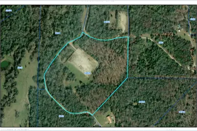252 Fm 3285, Fairfield, TX 75840 - Photo 2