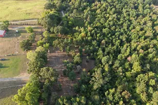 Tbd Cr 3211, Pittsburg, TX 75686 - Photo 1
