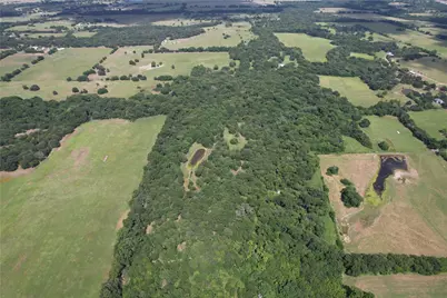 Tbd County Road 4719, Cumby, TX 75433 - Photo 14