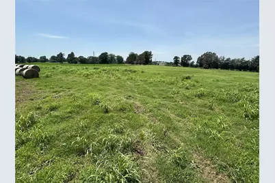 Tract B County Road 3356, Saltillo, TX 75478 - Photo 6