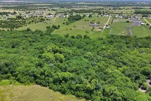 1528 County Rd 697, Farmersville, TX 75442 - Photo 36
