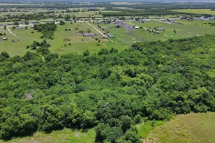 1528 County Rd 697, Farmersville, TX 75442 - Photo 10