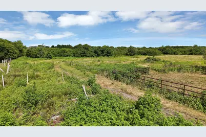 1528 County Road 697, Farmersville, TX 75442 - Photo 12