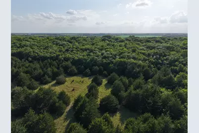 654 N Fm 36 #Lot 4, Greenville, TX 75401 - Photo 22