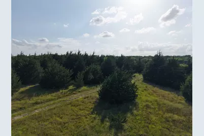 654 N Fm 36 #Lot 4, Greenville, TX 75401 - Photo 18