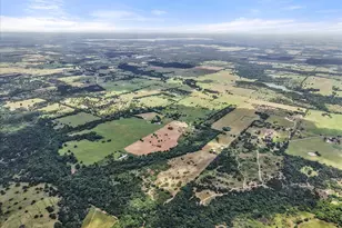 5144 S Fm 55, Blooming Grove, TX 76626 - Photo 32