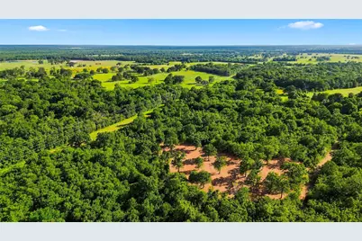610 County Road 2040, Klondike, TX 75448 - Photo 16