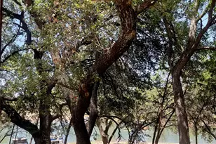 2334 San Bar Rd, Possum Kingdom Lake, TX 76449 - Photo 26