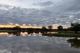 [Address not provided], Blossom, TX 75416 - Photo 1
