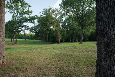 10457 State Highway 110, Van, TX 75790 - Photo 6