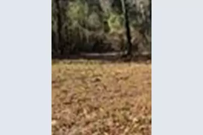 [Address not provided], Winnsboro, TX 75494 - Photo 14
