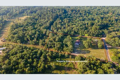 275 County Road 3598, Winnsboro, TX 75494 - Photo 2