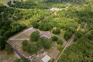 275 Co Rd 3598, Winnsboro, TX 75494 - Photo 1