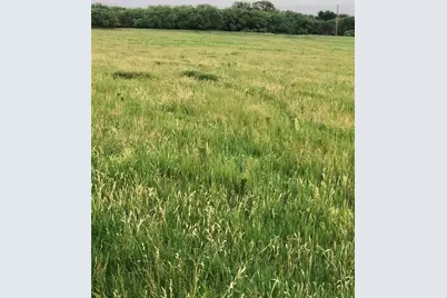 2110 County Road 362, Desdemona, TX 76445 - Photo 30