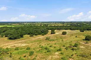 2110 Co Rd 362, Desdemona, TX 76445 - Photo 16