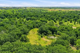 2110 Co Rd 362, Desdemona, TX 76445 - Photo 12