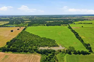 2110 Co Rd 362, Desdemona, TX 76445 - Photo 18