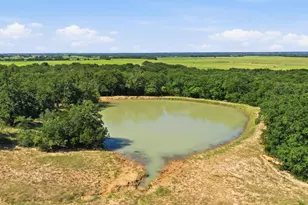 2110 Co Rd 362, Desdemona, TX 76445 - Photo 10