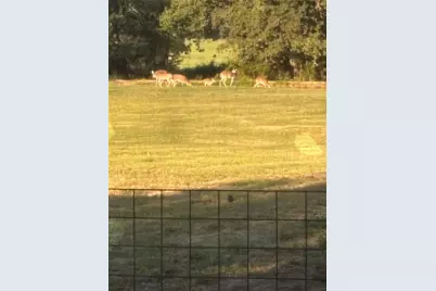 2110 County Road 362, Desdemona, TX 76445 - Photo 6