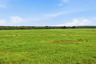 2110 Co Rd 362, Desdemona, TX 76445 - Photo 22