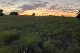 2110 Co Rd 362, Desdemona, TX 76445 - Photo 2