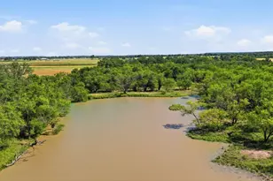 2110 Co Rd 362, Desdemona, TX 76445 - Photo 20