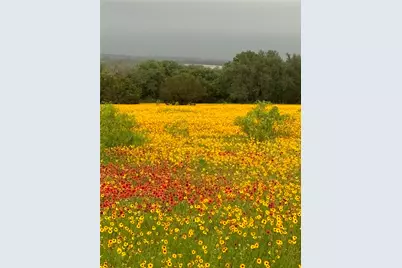 2110 County Road 362, Desdemona, TX 76445 - Photo 32