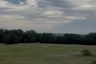 2110 Co Rd 362, Desdemona, TX 76445 - Photo 26