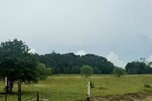 2110 Co Rd 362, Desdemona, TX 76445 - Photo 20