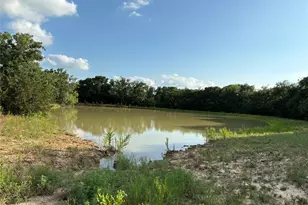 2110 Co Rd 362, Desdemona, TX 76445 - Photo 12