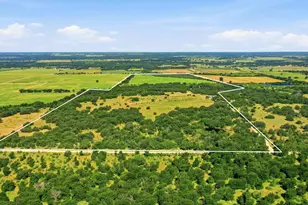 2110 Co Rd 362, Desdemona, TX 76445 - Photo 36
