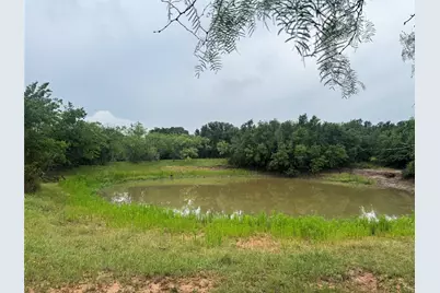 2110 County Road 362, Desdemona, TX 76445 - Photo 16