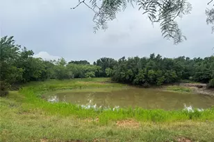 2110 Co Rd 362, Desdemona, TX 76445 - Photo 16